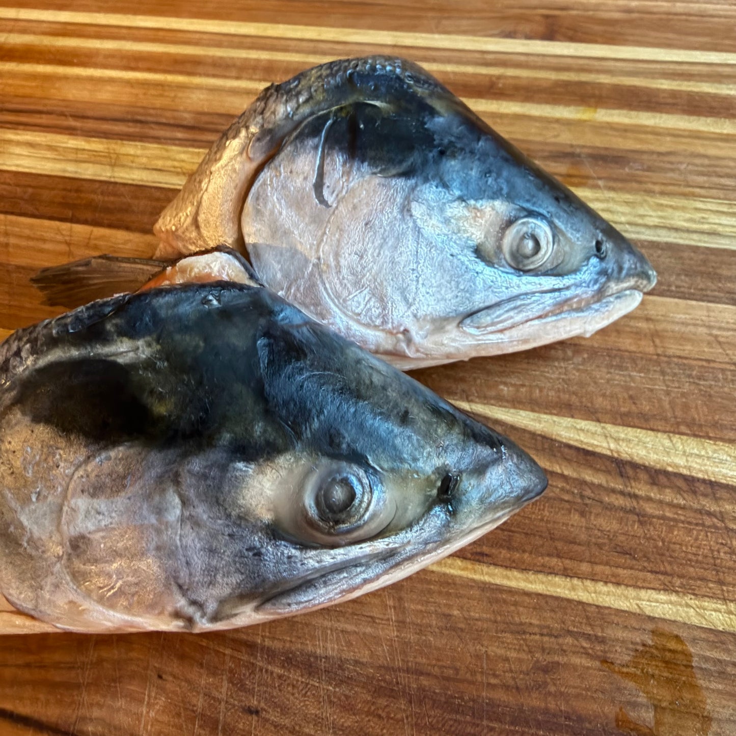 Salmon Heads (2 pack)
