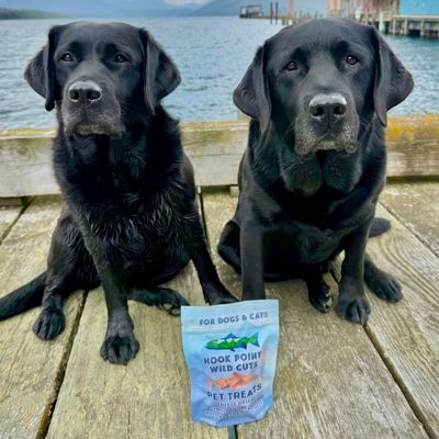 Pet Treats