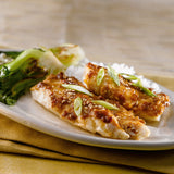 Rockfish