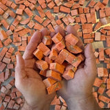 Wild Cuts - Freeze Dried Sockeye Salmon Pet Treats