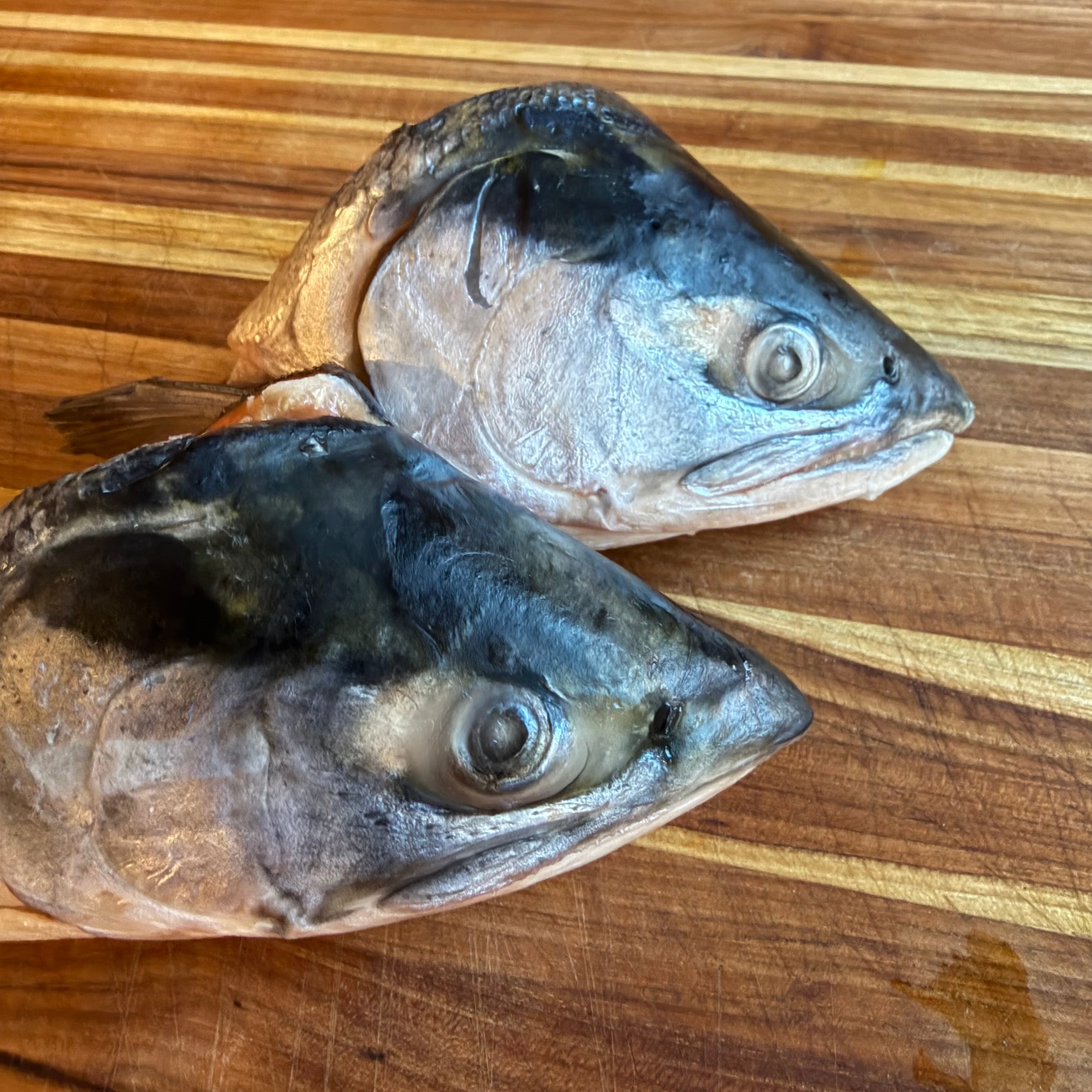 Salmon Heads (2 pack)