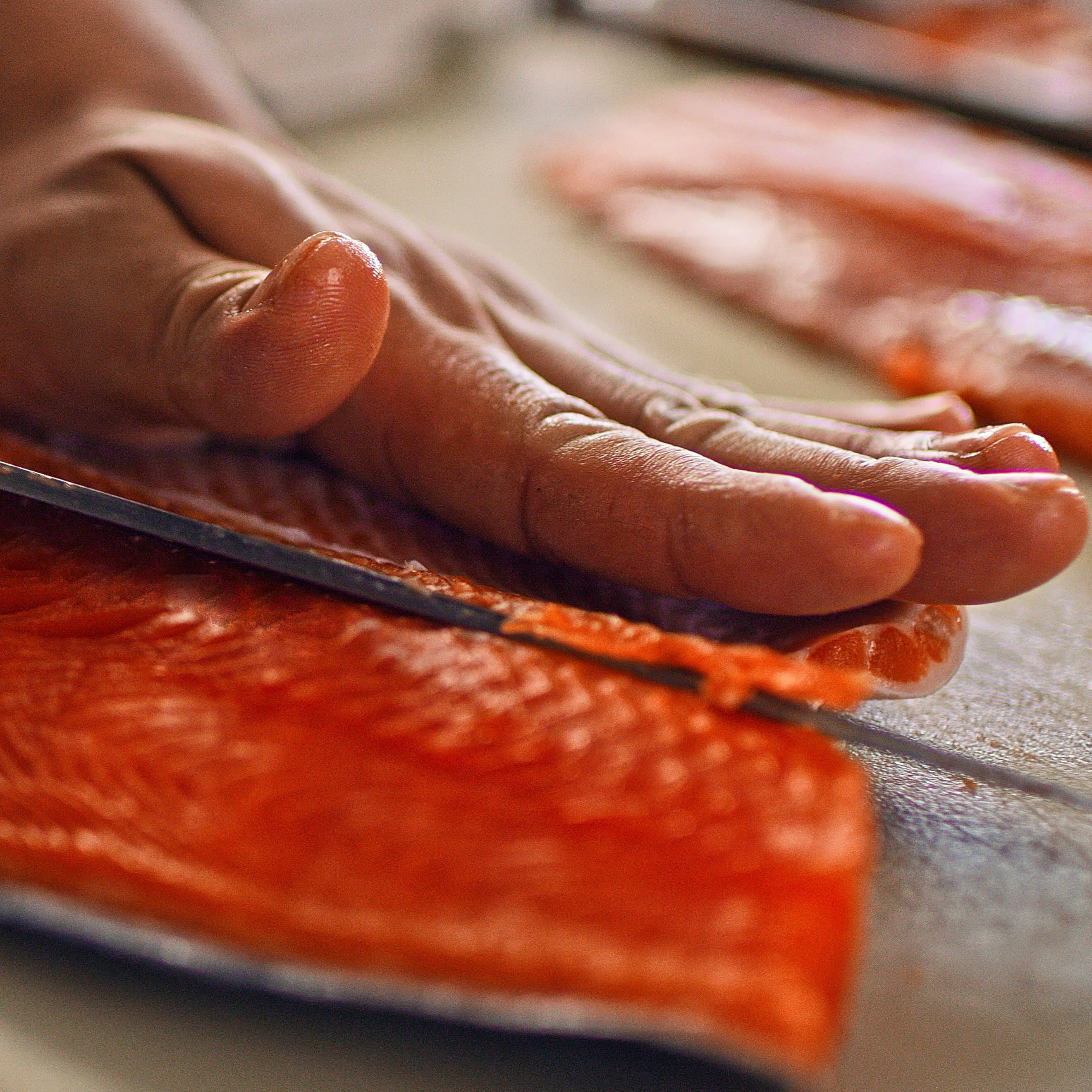 Wild Alaska Sockeye – Hook Point Fisheries